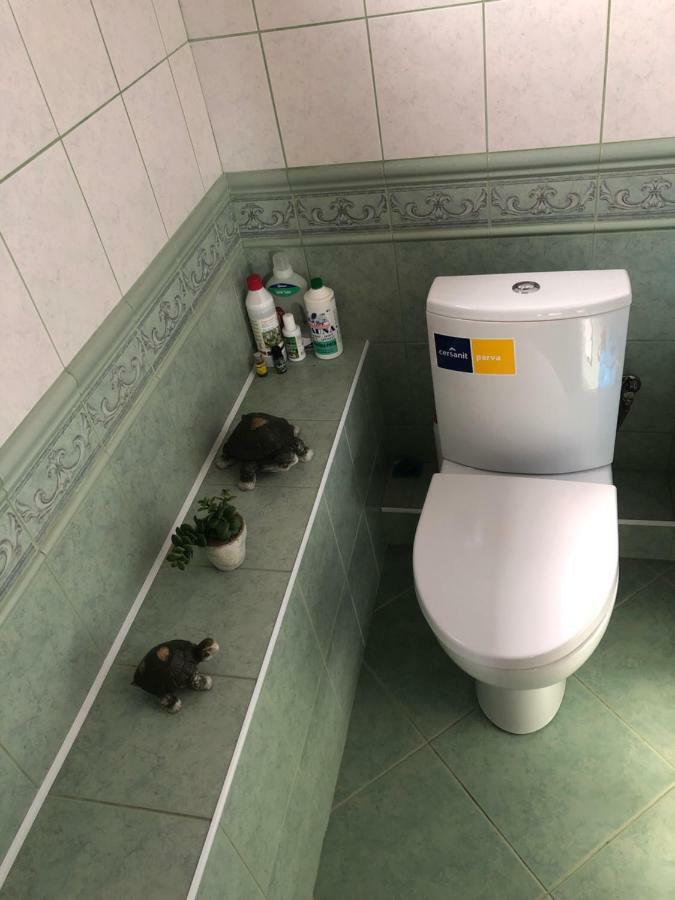 איגנלינה Paukoje Apartamentai מראה חיצוני תמונה